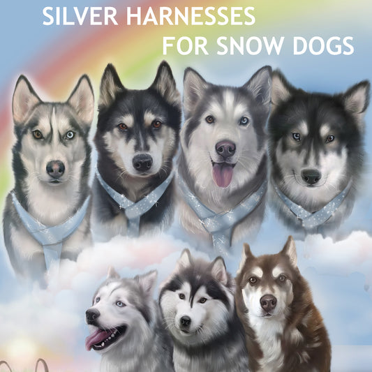 Story - The SIlver Harness - By Andre DeMerchant