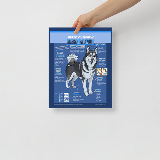 Funny Alaskan Malamute Meme Breed Poster