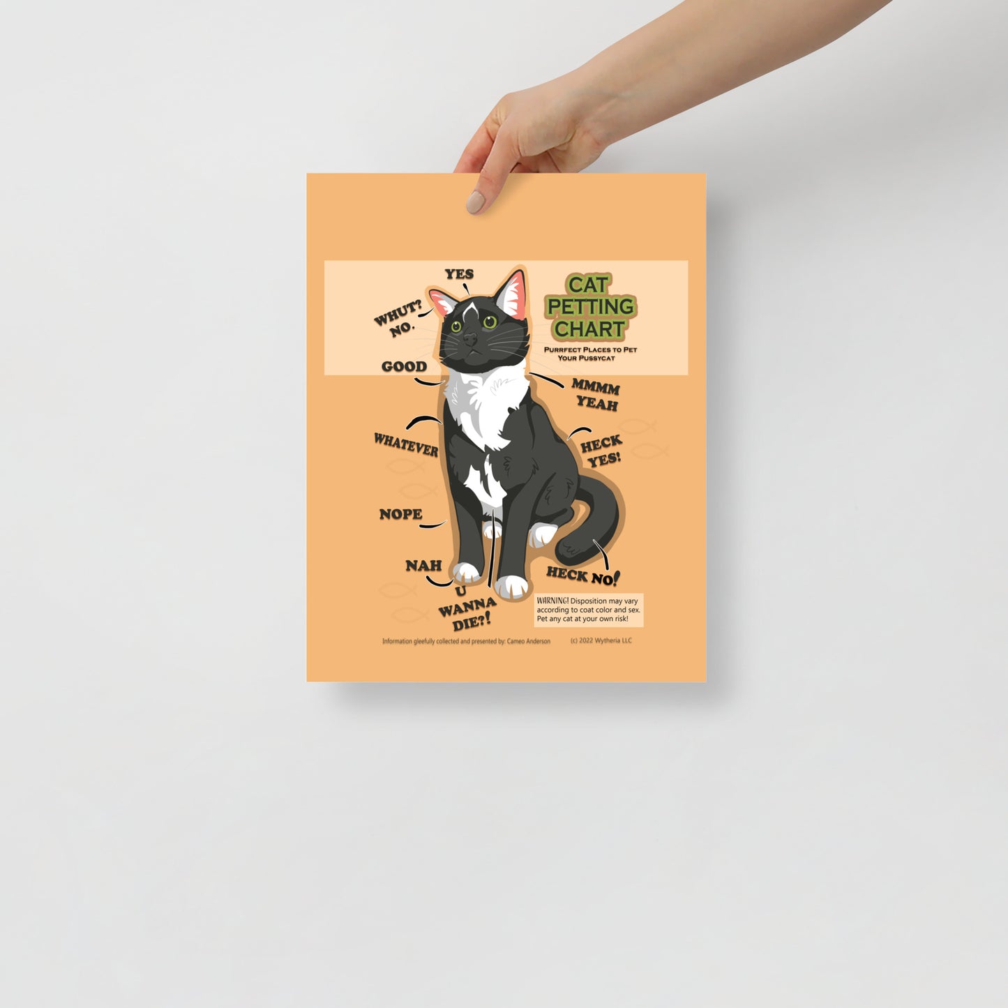 Funny Cat Petting Chart Meme Breed Poster - Cameo Anderson