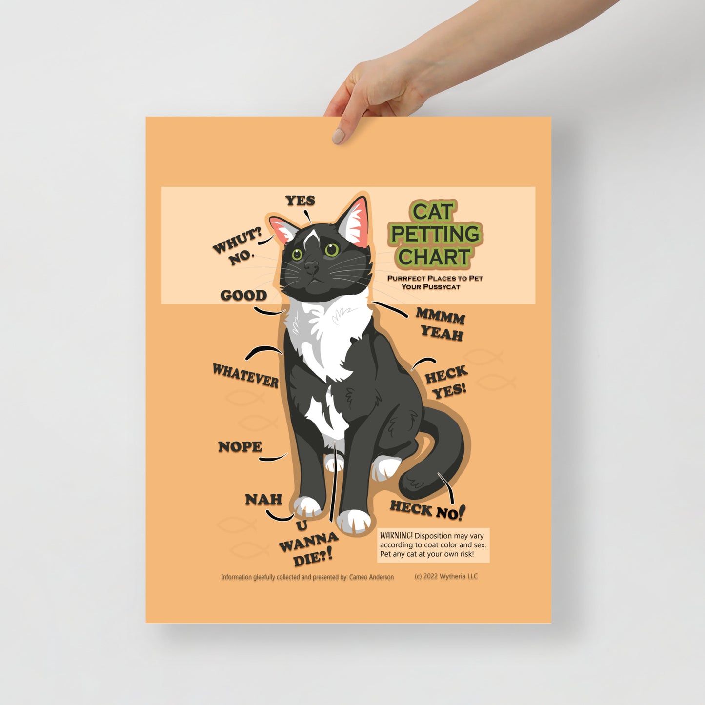 Funny Cat Petting Chart Meme Breed Poster - Cameo Anderson