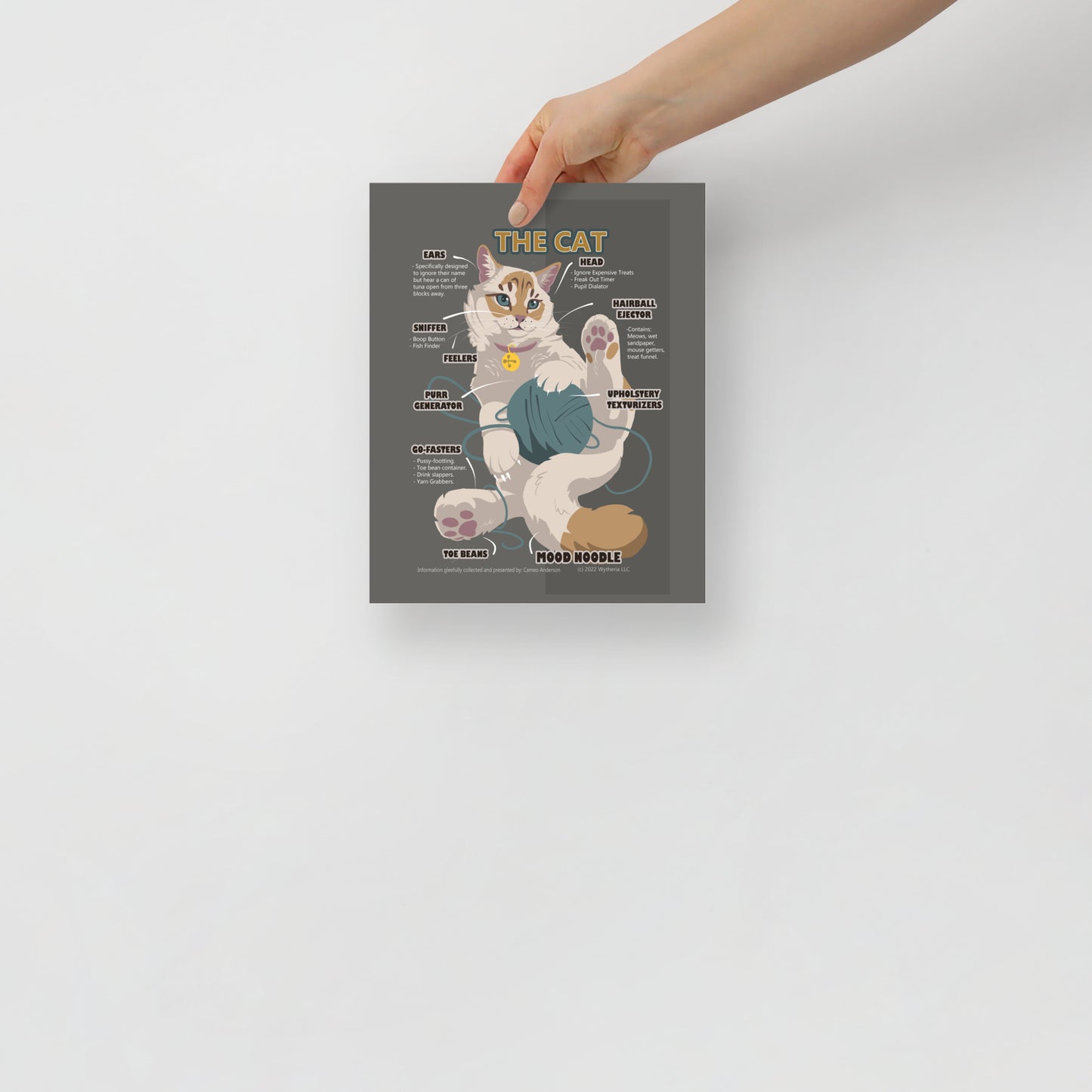 Funny House Cat Meme Breed Poster - Cameo Anderson