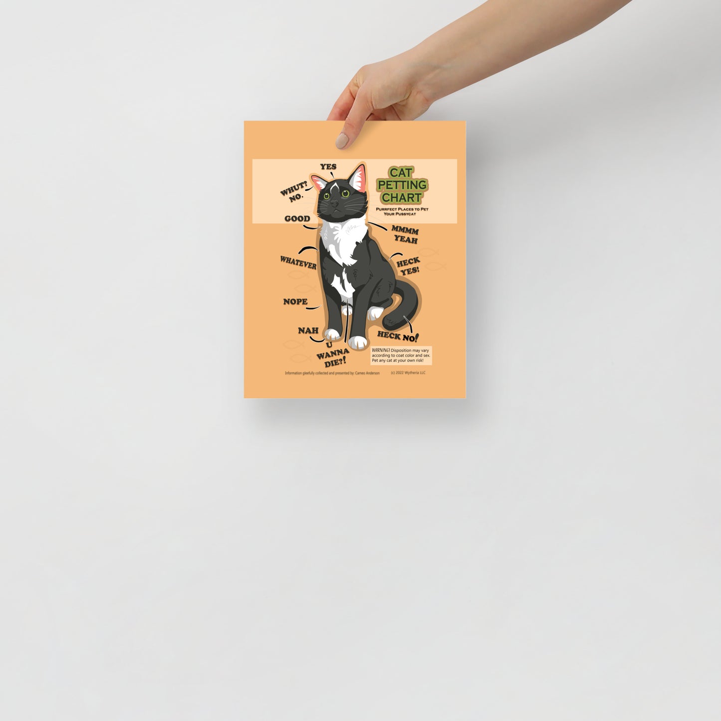 Funny Cat Petting Chart Meme Breed Poster - Cameo Anderson
