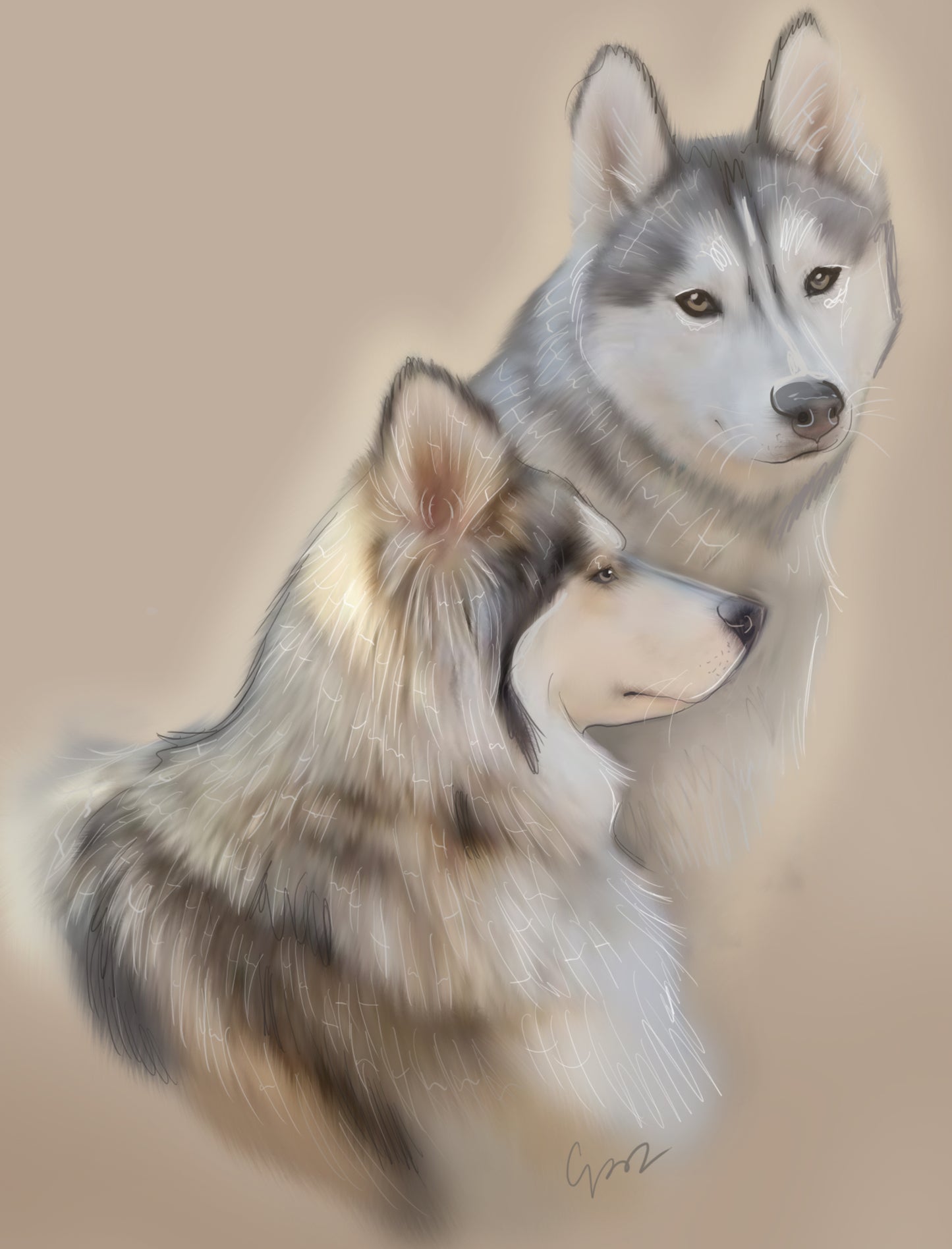 Your Pet Painted - Canvas by Cameo Anderson