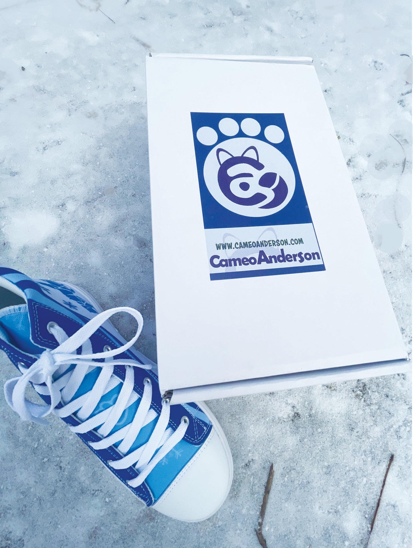 Men’s high top canvas shoes - Ice Dogs - Cool Art || Cameo Anderson